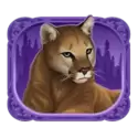 icon 5