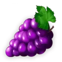 icon 7