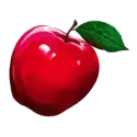 icon 9