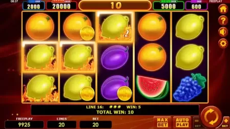 Hot Fruits 20 Cash Spins slot screenshot 5