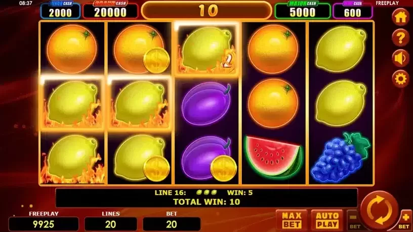 Hot Fruits 20 Cash Spins slot screenshot 5