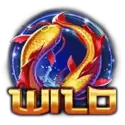 icon 9