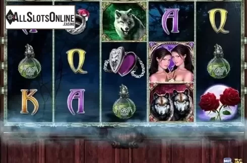 Game Workflow screen. Night of the Wolf from High 5 Games