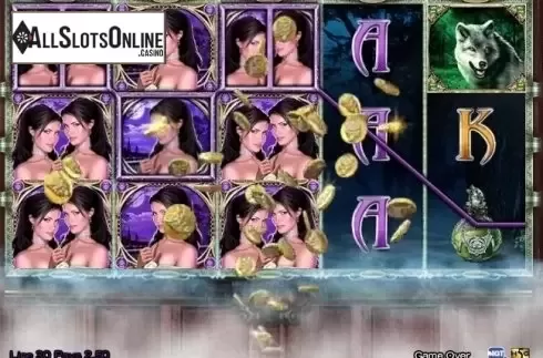 Win Screen. Night of the Wolf from High 5 Games