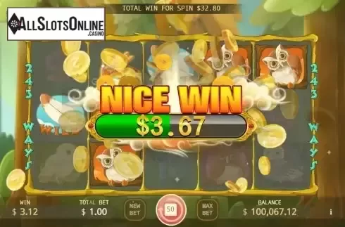 Nice Win screen