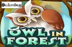 Owl In Forest