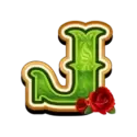 icon 10