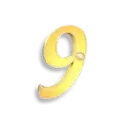 icon 13