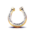 icon 5