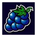 icon 3