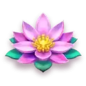 icon 4