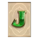 icon 8