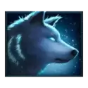 icon 5