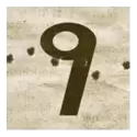 icon 13