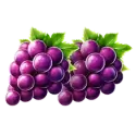 icon 4