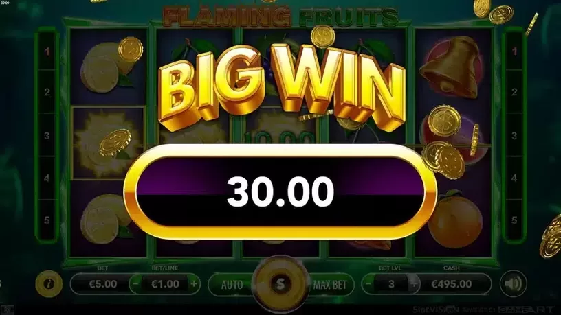 Flaming Fruits slot screenshot 4