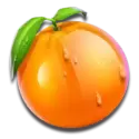 icon 10