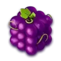 icon 5