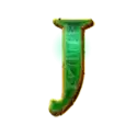 icon 9