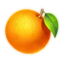 icon 7