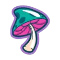icon 5