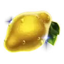 icon 4