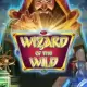Wizard of the Wild