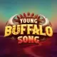 Young Buffalo Song