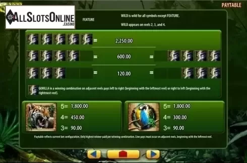 Screen5. Amazon Queen from WMS