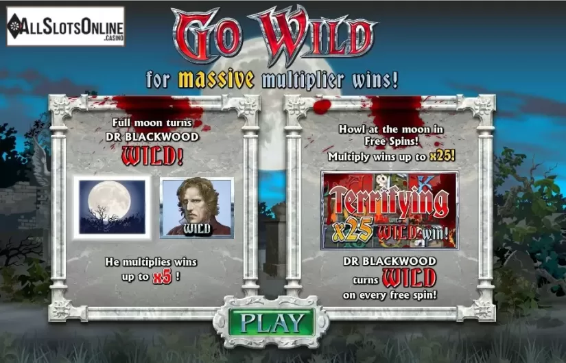 Screen2. Full Moon Fortune from Playtech