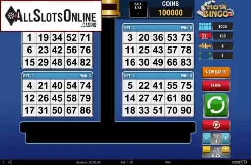 Game Screen. Hot Bingo from Play'n Go