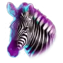 icon 2