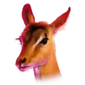 icon 5