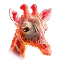 icon 3