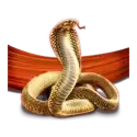 icon 6