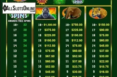 Paytable screen