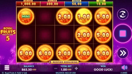 Royal Fruits 5 slot screenshot 4