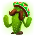 icon 4