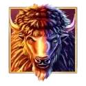 icon 11