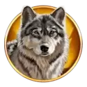 icon 2