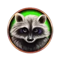 icon 5