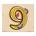 icon 10