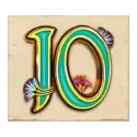 icon 9