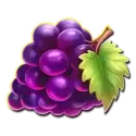 icon 4