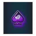 icon 5