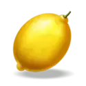 icon 6
