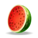 icon 4