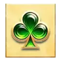icon 7