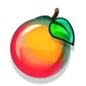 icon 10