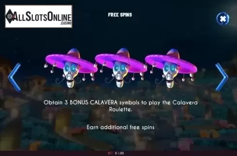 FS Feature screen